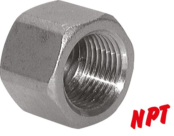 Exemplary representation: Sealing cap with NPT thread, stainless steel